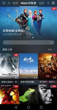 电脑端怎么看华为视频(华为视频，电脑端观看体验指南)