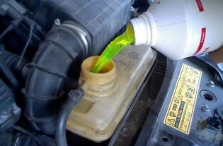 汽车防冻液替换油多少钱(汽车防冻液替换油费用解析)