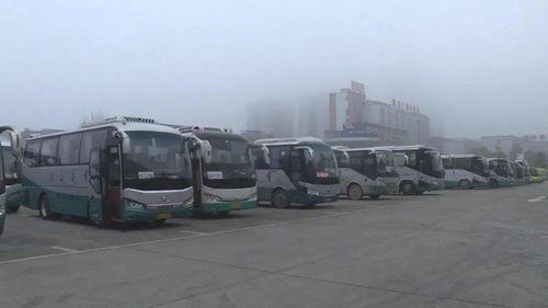 垫江到武汉的汽车多少钱(垫江到武汉的汽车票价详解) 垫江到武汉的汽车多少钱(垫江到武汉的汽车票价详解)