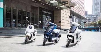 雅迪电动汽车爬坡多少度(雅迪电动汽车的爬坡能力与挑战，解析坡道角度的重要性)