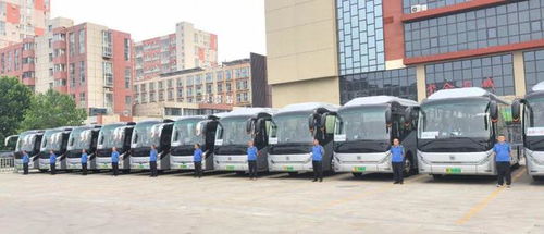 唐河新汽车站手机号多少(唐河新汽车站手机号查询及相关服务介绍)