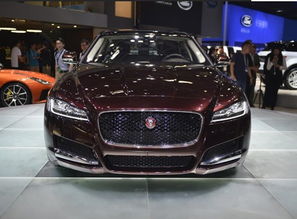 捷豹汽车最贵得多少钱(捷豹汽车最贵得多少钱？豪华座驾的极致价值探索)