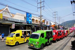 普吉岛天然汽车垫多少钱(普吉岛天然汽车垫的价格探究)