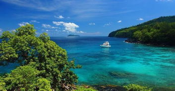 普吉岛天然汽车垫多少钱(普吉岛天然汽车垫的价格探究)