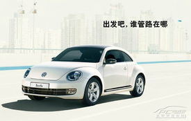 甲壳虫绿牌汽车多少钱(甲壳虫绿牌汽车的价格解析)