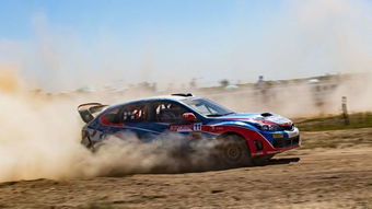 汽车拉力赛最宽多少米高(汽车拉力赛最宽赛道尺寸揭秘，宽度与高度一览)