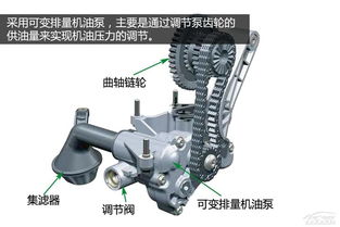 组装汽车机油泵要多少钱(组装汽车机油泵的造价分析)