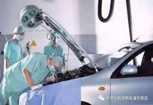 小汽车多少时间保养一下(小汽车保养周期的重要性及其建议) 小汽车多少时间保养一下(小汽车保养周期的重要性及其建议)