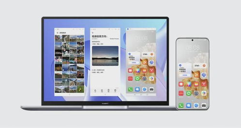 照片美化华为电脑怎么弄(华为电脑照片美化全攻略，轻松提升图片质量)