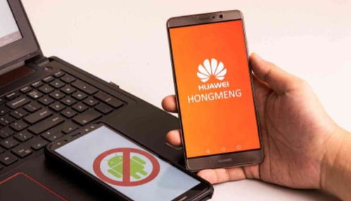 华为手机电脑怎么弄(华为手机与电脑的互联操作指南)