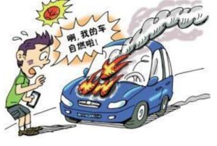 家用汽车能加多少天然气(家用汽车能加多少天然气，影响因素与实际操作指南)