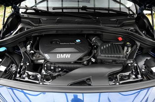 汽车换水管一般多少钱(汽车换水管的一般费用解析)