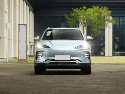 汽车有纯燃油版吗多少钱(汽车市场中的纯燃油版车型及其价格概述)