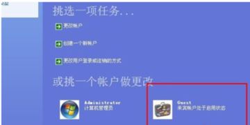 新华为电脑怎么联网的啊(华为新电脑联网指南，轻松连接，畅享网络世界)