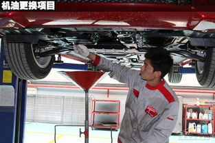 机油放汽车里能加多少升(机油，汽车的心脏之血，适量加注多少升？