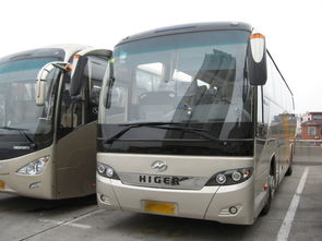 银川到洛阳汽车站多少钱(银川到洛阳汽车站的价格及旅行指南) 银川到洛阳汽车站多少钱(银川到洛阳汽车站的价格及旅行指南)