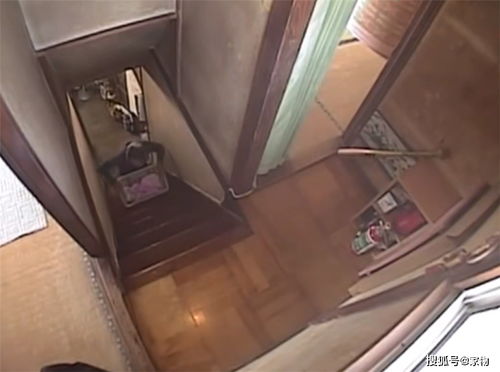 汪峰带3娃过父亲节 二女儿罕见露面(汪峰携三娃温馨共庆父亲节，二女儿罕见露面，家庭幸福溢于言表)