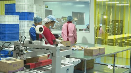 福田区汽车除甲醛多少钱(福田区汽车除甲醛服务费用解析) 福田区汽车除甲醛多少钱(福田区汽车除甲醛服务费用解析)