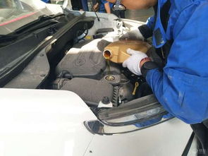 小型汽车换下机油多少钱(小型汽车换机油的费用解析)