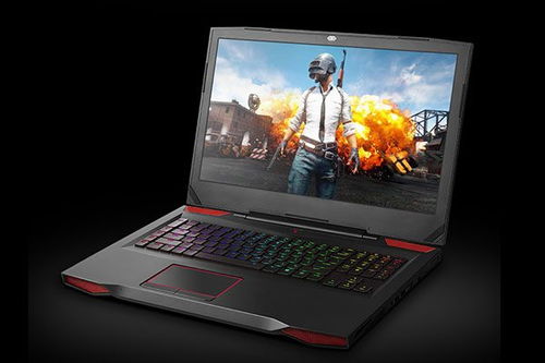 华为电脑原神pc端怎么(华为电脑与原神PC端的完美融合，游戏攻略与体验分享)