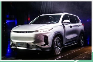 d60汽车底漆多少钱(D60汽车底漆价格解析)