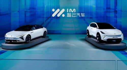 智护汽车多少钱一桶(智护汽车润滑油价格解析，多少钱一桶？