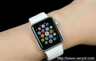 电脑上怎么刷机华为手表(电脑上如何刷机华为手表，详细步骤与注意事项)