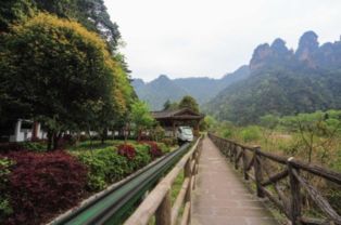 邻水到张家界多少钱汽车(邻水到张家界，汽车票价及旅行攻略)