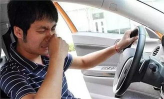 花溪汽车去除异味多少钱(花溪汽车去除异味服务费用详解)