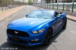 丹阳野马汽车多少钱一台(丹阳野马汽车价格解析)