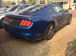 丹阳野马汽车多少钱一台(丹阳野马汽车价格解析)