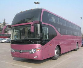 深圳到茶山汽车站多少钱(深圳到茶山汽车站的价格详解，费用、时间与路线)