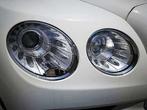 汽车倒车灯亮吗多少钱(汽车倒车灯的重要性及其价格因素解析)