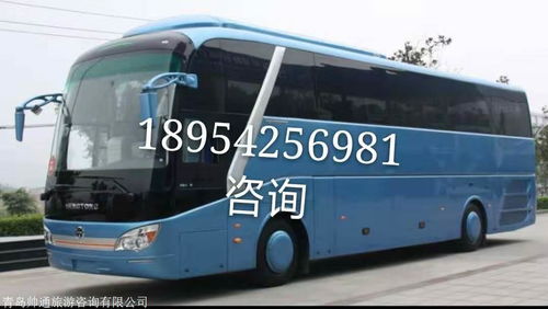 银川到上海汽车站多少钱(银川到上海汽车站的长途旅行费用详解)