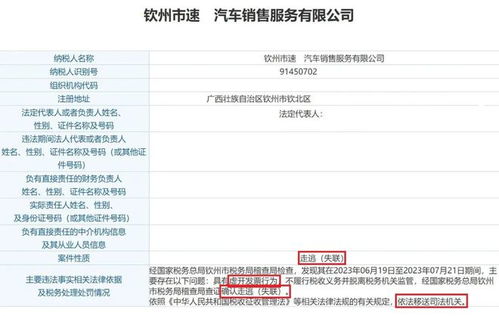 徐闻到钦州汽车票多少钱(徐闻到钦州汽车票价详解，价格、路线与旅行准备)