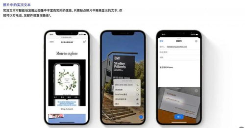 苹果实况怎么传到华为电脑(如何将苹果实况照片传输到华为电脑,步骤详解) 苹果实况怎么传到华为电脑(如何将苹果实况照片传输到华为电脑,步骤详解)