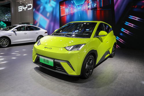 国产汽车有多少小型车(国产汽车中的小型车市场概览)