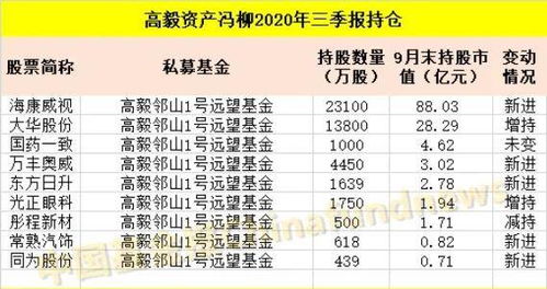 段永平再晒持仓(段永平再晒持仓，深度解读其投资策略与商业智慧)