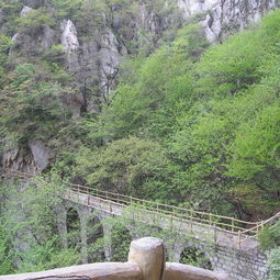 三皇寨下山汽车多少钱(揭秘三皇寨下山汽车费用，价格与选择详解)