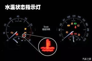 汽车水温表小贴士多少钱(汽车水温表小贴士及价格概览)