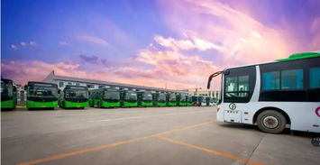 黄海到日照汽车站多少钱(黄海到日照汽车站的距离与费用详解)