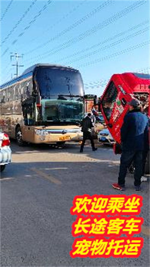 临洮至岷县汽车票多少钱(临洮至岷县汽车票价查询及相关信息介绍)