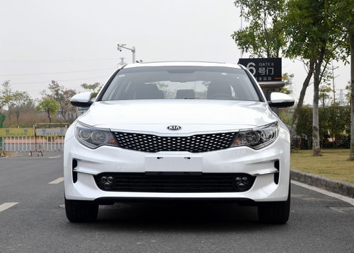 莘县起亚汽车多少钱一辆(莘县起亚汽车价格概览)