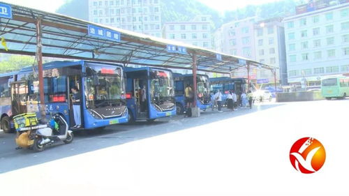 阜阳城南汽车站电话多少(阜阳城南汽车站电话及出行指南)