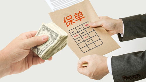 汽车保险座位险买多少个(汽车保险座位险购买数量探讨)