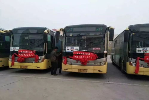 邱县至邯郸汽车站多少钱(邱县至邯郸汽车站票价详解，价格、时间、路线一览)