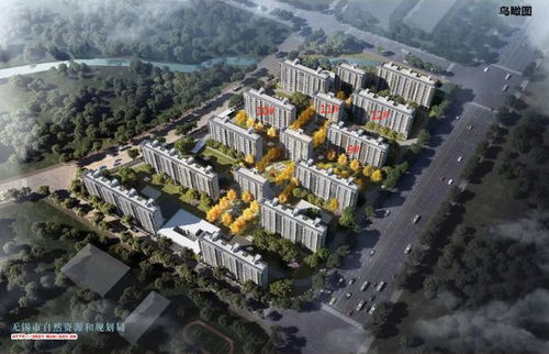 全红婵家新房因暴雨被淹(全红婵家新房因暴雨被淹，生活的挑战与希望的重燃)
