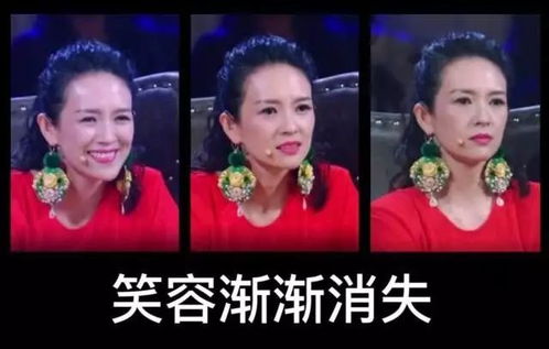 雷佳音:我没真打章子怡(雷佳音,我没真打章子怡) 雷佳音:我没真打章子怡(雷佳音,我没真打章子怡)