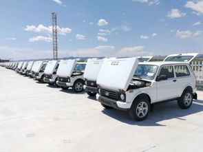 汽车玩具降价多少钱一斤(汽车玩具降价风暴来袭，揭秘降价背后的故事)