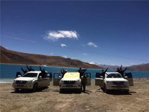 百色到文山汽车多少钱(百色到文山汽车价格详解，费用、时间与路线)